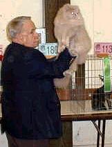 Boris Teron and Wayne Park judging GC, RW Fur Pleasure Lucky Anakin Skywalker