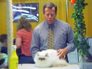 Pure Lavender was given Best Himalayan Champion in Don Williams's