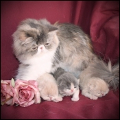 Lalani and Oreo