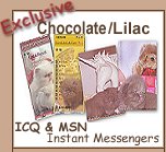 Chocolate & Lilac Persian ICQ & MSN Messengers