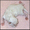 Pictures of chocolate and lilac  newborn baby kittens