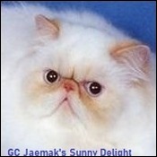 JAEMAK Persians